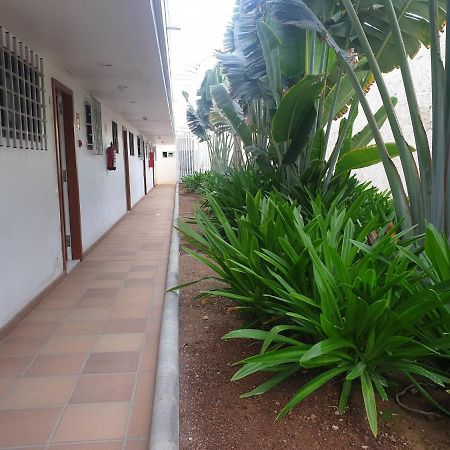 El Apartamento De Concha San Agustín Kültér fotó